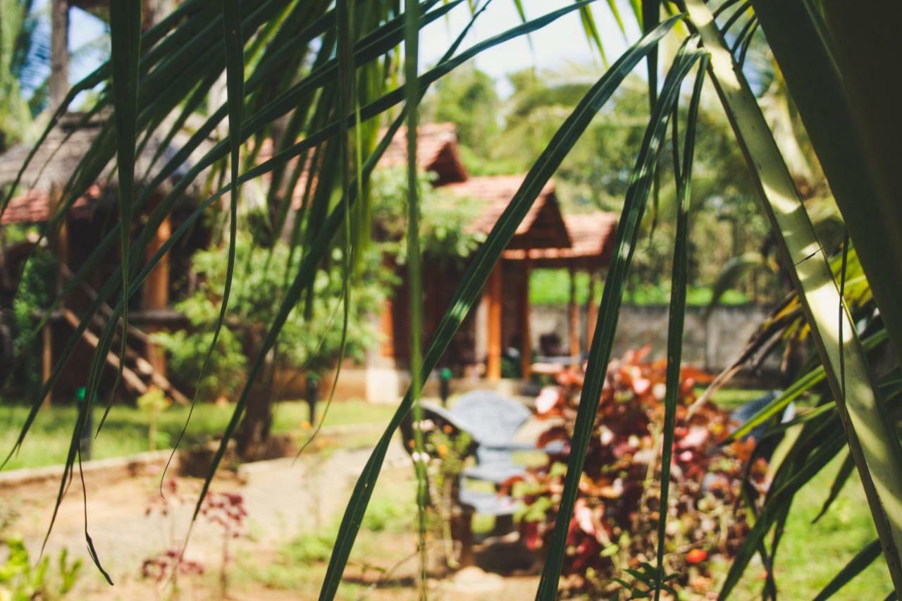 Hotel Clay House Udawalawe Exterior foto